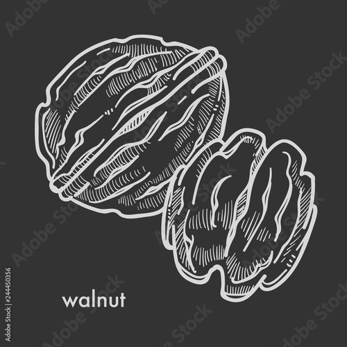 Healthy delicious walnut in hard shell and peeled.