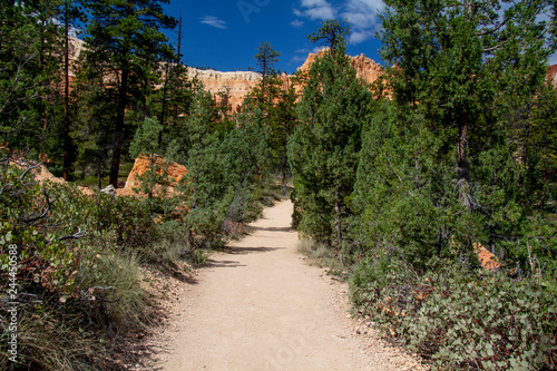 Trail in Bryce Canyon National Park