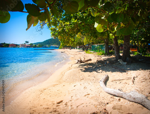 Beautiful beach in Roatan