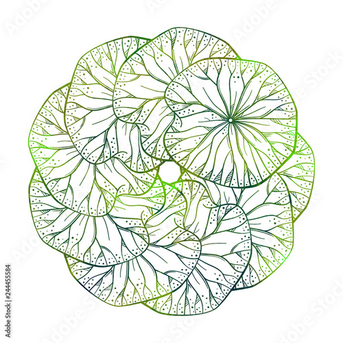 Exotic lotus leaves colorful decorative motif