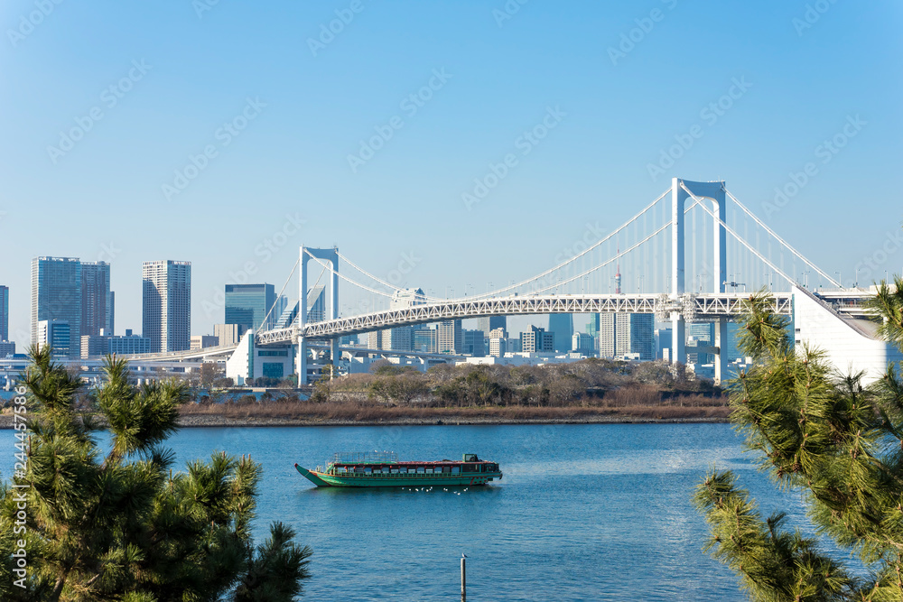 Fototapeta premium 東京 お台場海浜公園からの風景