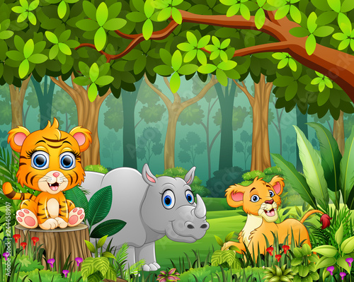 Cartoon of the forest landscape with different animals