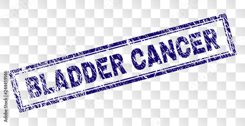 BLADDER CANCER stamp seal print with rubber print style and double framed rectangle shape. Stamp is placed on a transparent background.