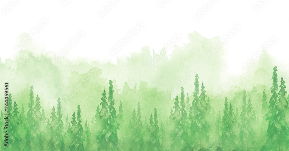 Fototapeta Akwarela grupa drzew - jodła, sosna, cedr, jodła. zielony las, krajobraz, krajobraz leśny. Rysować na białym odosobnionym tle. Mglisty las w haz. Plakat ekologiczny. Malarstwo akwarelowe
