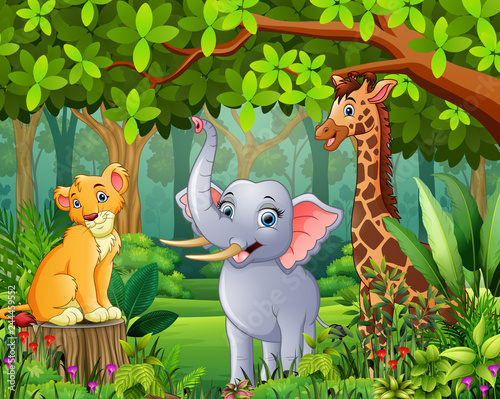 Landscape forest cartoon of green with wild animal