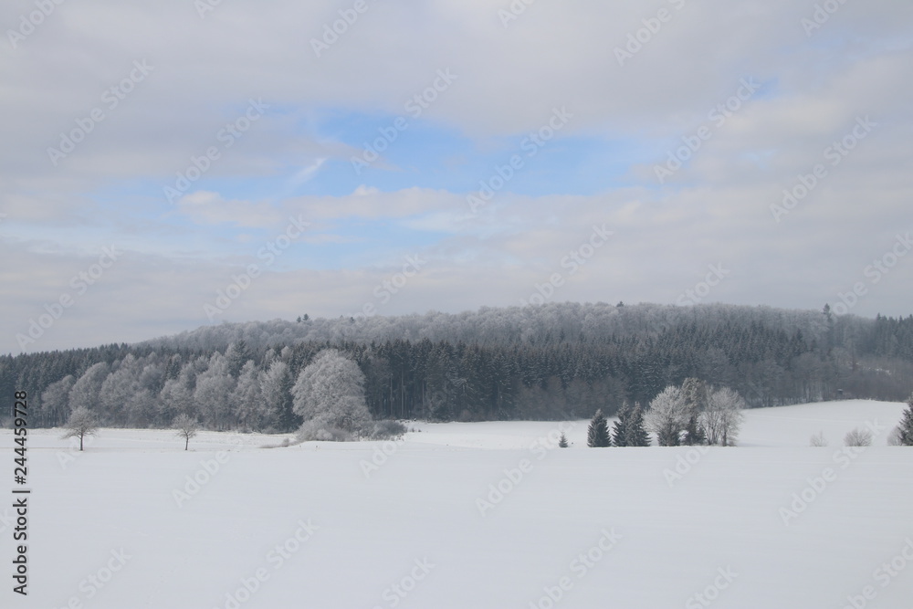 Fototapeta premium Jahreszeiten