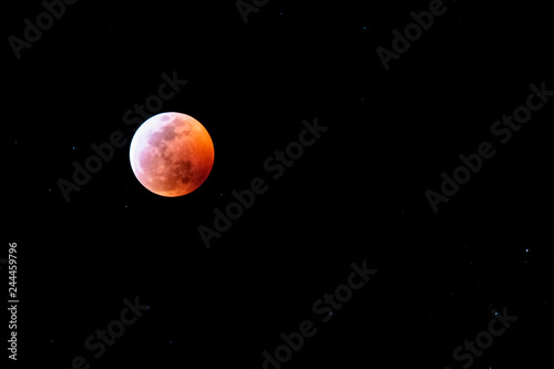 Wolf blood moon  © K KStock