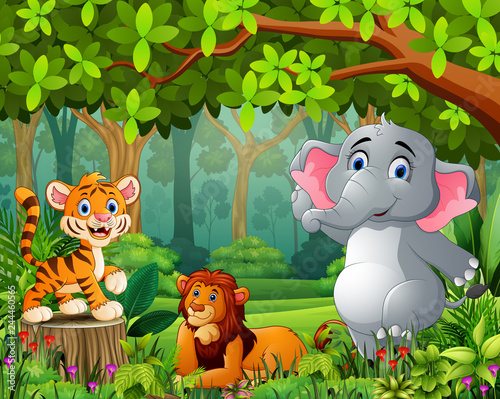 Landscape forest cartoon of green with wild animal