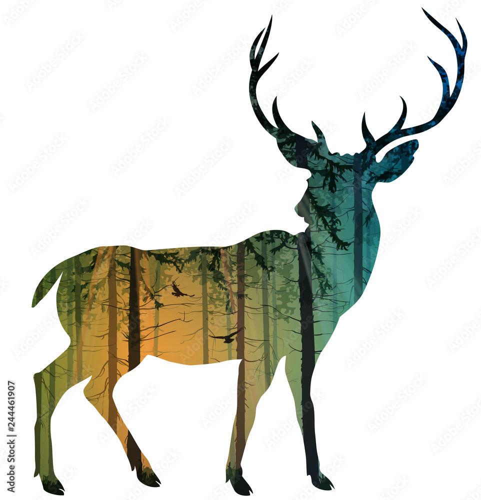 Obraz premium Sylwetka eleganckiego jelenia. Wewnątrz las sosnowy z latającymi ptakami. Na białym tle obiekt, ilustracji wektorowych.