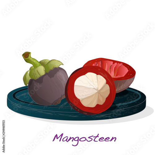 Ripe mangosteen isolated on the plate. Compositioin on white background. Vector illustration. photo