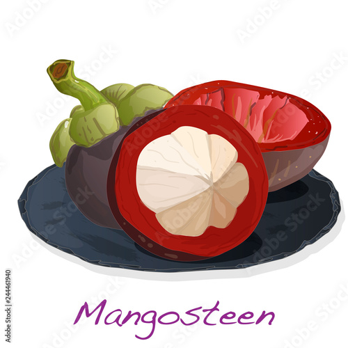 Ripe mangosteen isolated on the plate. Compositioin on white background. Vector illustration. photo