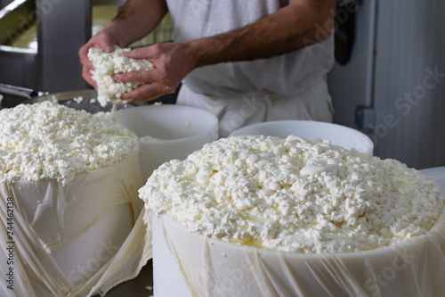 hands of master cheesemaker working the product