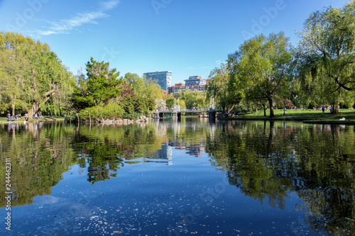 The Boston Public Garden