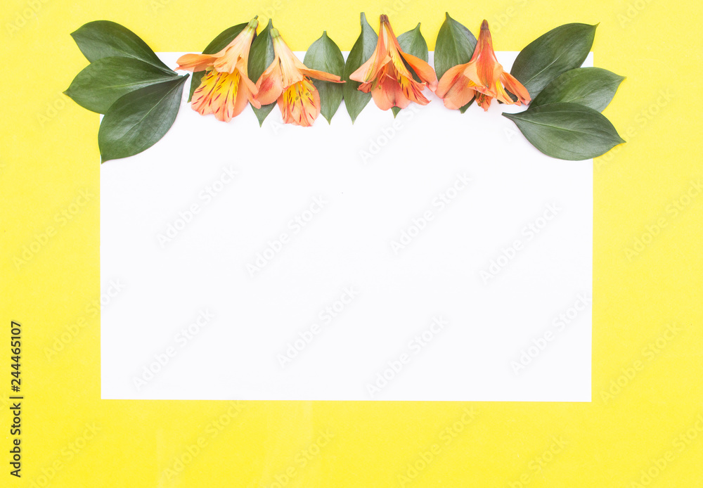 Blank white paper on a yellow background with petals and orange hibiscus flowers, greeting card mockup, art Blank white paper on a yellow background with petals and orange hibiscus flowers, greeting card mockup, art