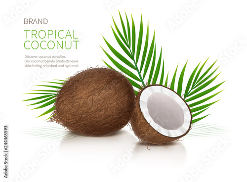 Tropical coconut realistic vector, whole and broken half coco nut and green palm leaves on white glossy background. Mock up banner or packaging design for natural products or organic cosmetics