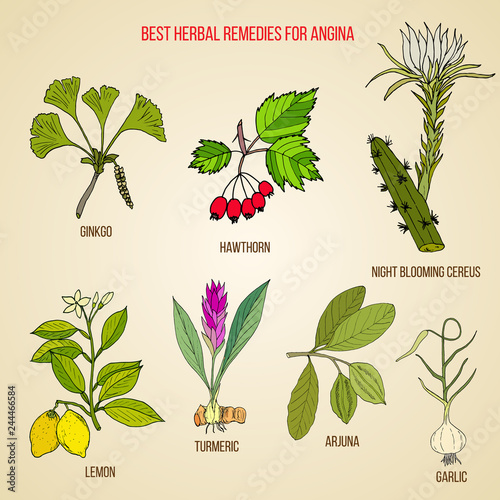 Collection of best herbs for angina treatment