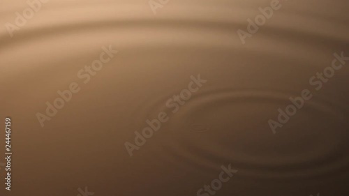 Water droplet ripple / Brown / coffee