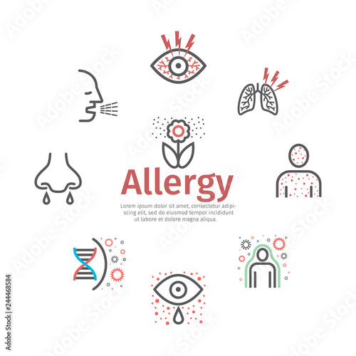 Allergy banner, symptoms line icons infographic. Vector sign for web graphic. photo