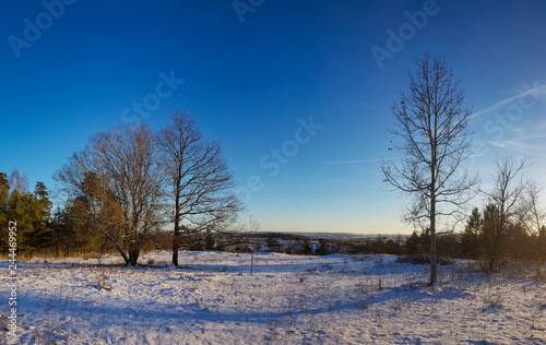 beautiful snowy winter panorama view of frozen natural landscape under a cold cloudy sky with snow and ice © klickit24