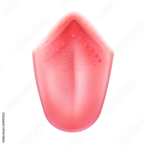 Vector realistic human tongue close up isolated on white background