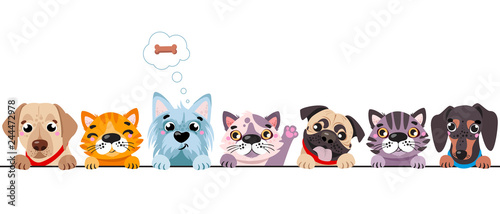Cats and small dogs border set. Funny dog and cute cat best friends. Happy friendship day. Vector illustration isolated on white background