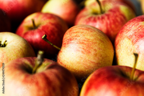 Royal gala apple tilt to the side. photo