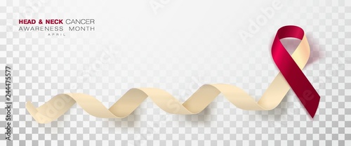 Head and Neck Cancer Awareness Month. Burgundy and Ivory Color Ribbon Isolated On Transparent Background. Vector Design Template For Poster.