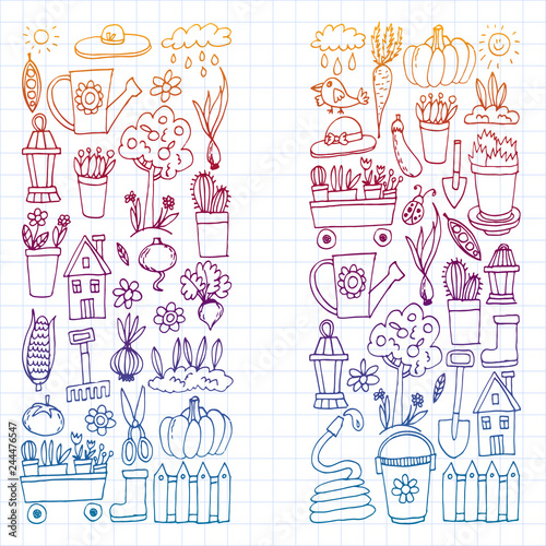 Garden, agriculture, garden tools, equipment, harvest. Icons of gardening items.