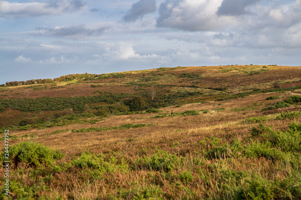 Exmoor landscape on Porlock Hill in Somerset, England, UK