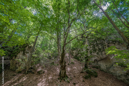 parco nazionale d'Abruzzo
