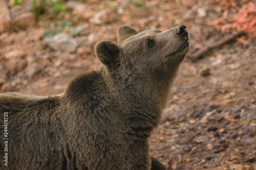 parco nazionale d'Abruzzo