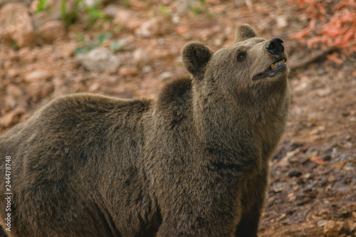 parco nazionale d'Abruzzo