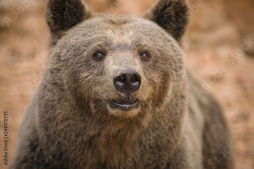 parco nazionale d'Abruzzo