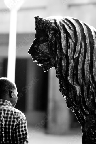 A man walks past roaring lion statue in a business district of an African city. A conceptual image man and animals. (ID: 244479919)