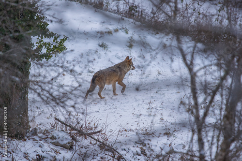 parco nazionale d'Abruzzo