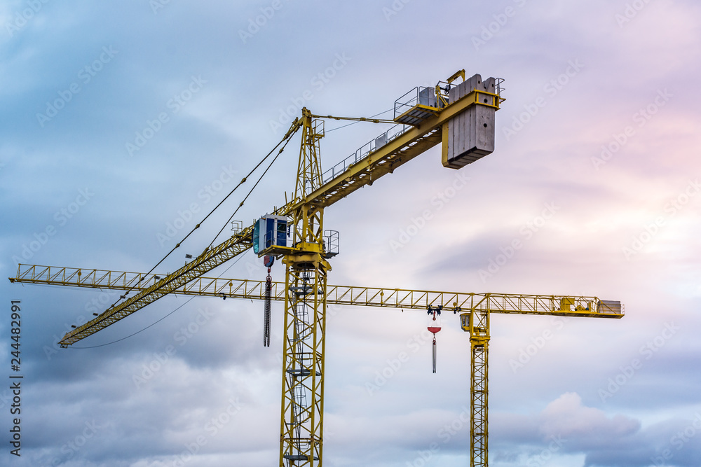 Two isolated cranes with the background of a wintry sky Two isolated cranes with the background of a wintry sky