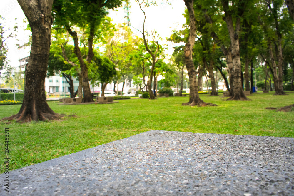 Side angle view of breccia table on foreground and public park in the background.