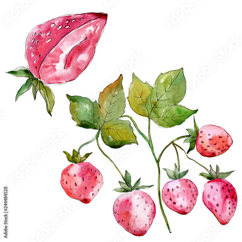 Strawberry fruits. Green leaf. Watercolor background illustration set. Isolated berry illustration element.