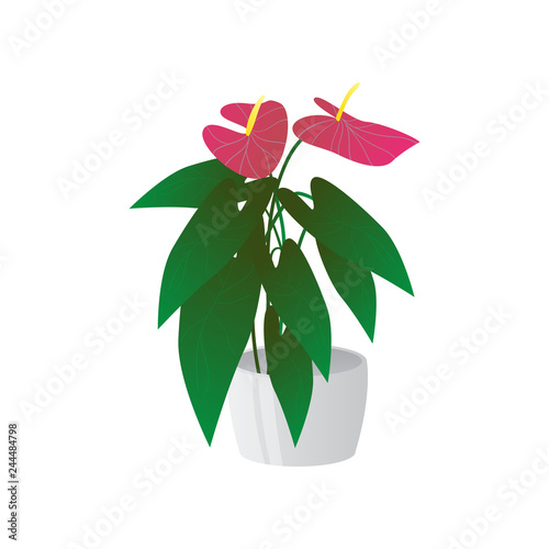 Homemade cute home plant in a beautiful colorful pot.