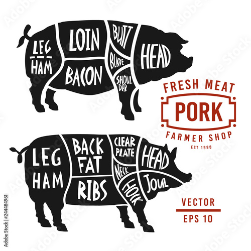 Meat cuts of pork. Vector pig silhouette isolated on white background. Vintage Poster for butcher shop. Poster pork cutting scheme lettering in vintage style.