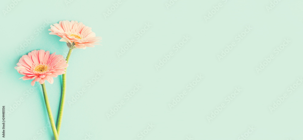 Naklejka premium Spring tender flowers on blue