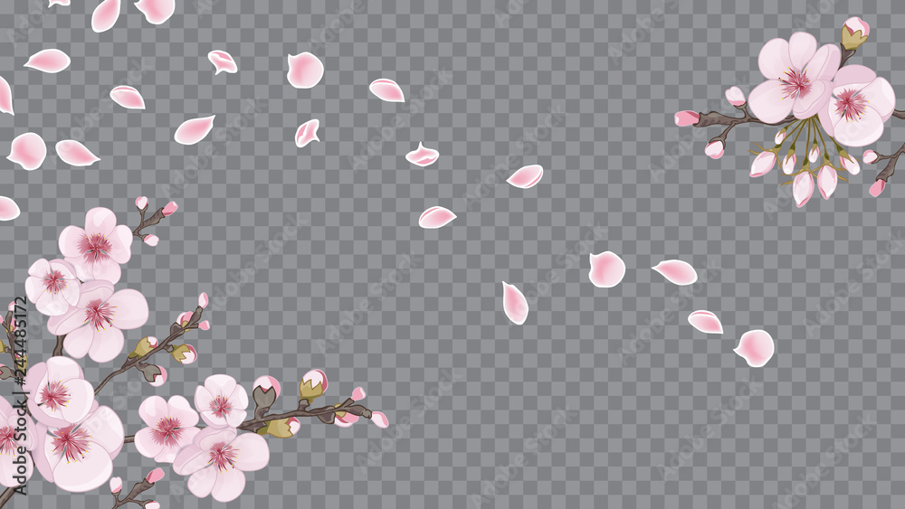The idea of textile design, wallpaper, packaging, printing. Handmade background in the Japanese style. Festive frame horizontal of sakura flowers. Pink on transparent fond.