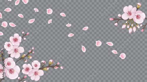The idea of textile design, wallpaper, packaging, printing. Handmade background in the Japanese style. Festive frame horizontal of sakura flowers. Pink on transparent fond. © Irina