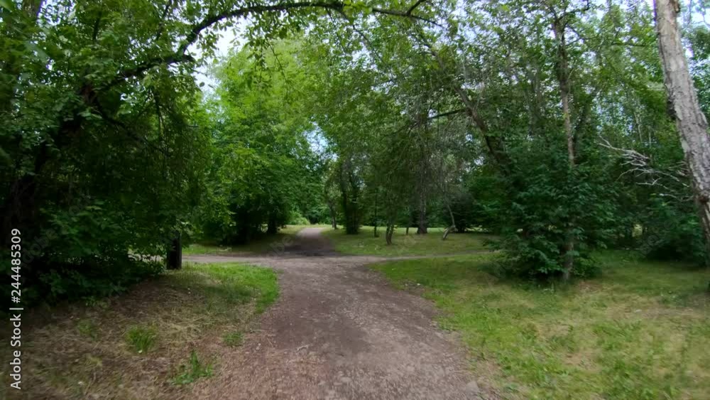 Walking in the park. Motion along the forest path. POV. Quickly Walking in the park. Motion along the forest path. POV. Quickly