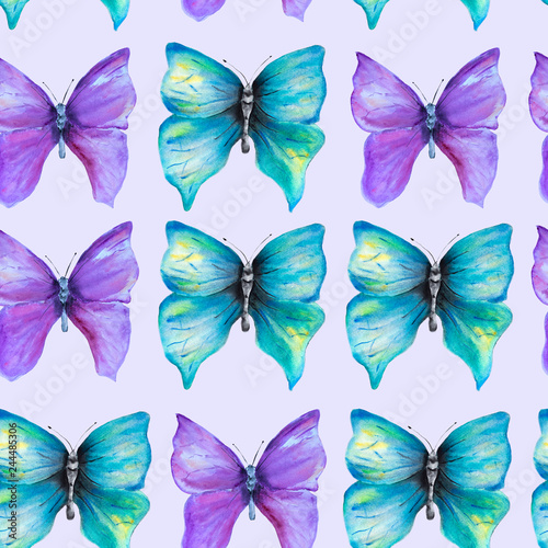 Seamless pattern with violet and blu butterflys © nolonely