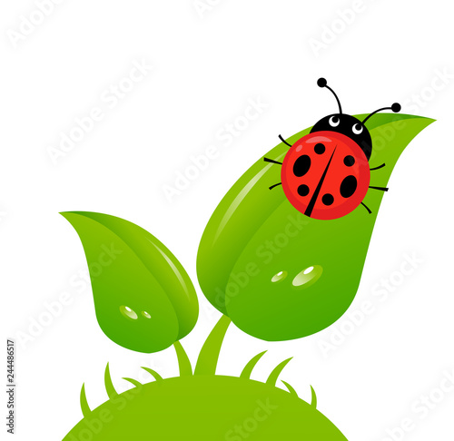 Vector illustration of a ladybug on a leaf