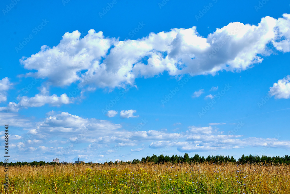 Fototapeta premium Blue sky with clouds in a nice day. Closeup