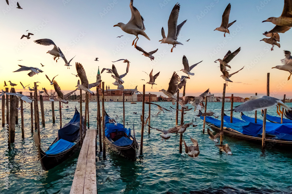 Sunrise over St Giorgio Maggiore and Birds over the Grand Canal, Venice, Italy