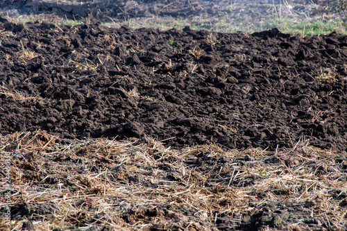 Pile of fresh animal manure on field preparetion for planting vegetables photo