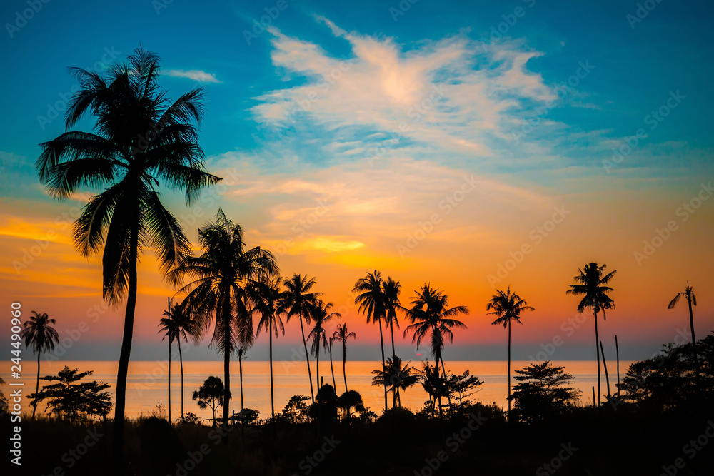 Palm trees at sunset, Koh Chang